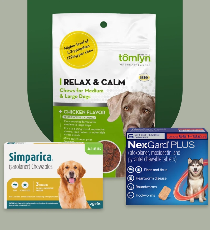 Shop Trusted Products for Your Pet Online