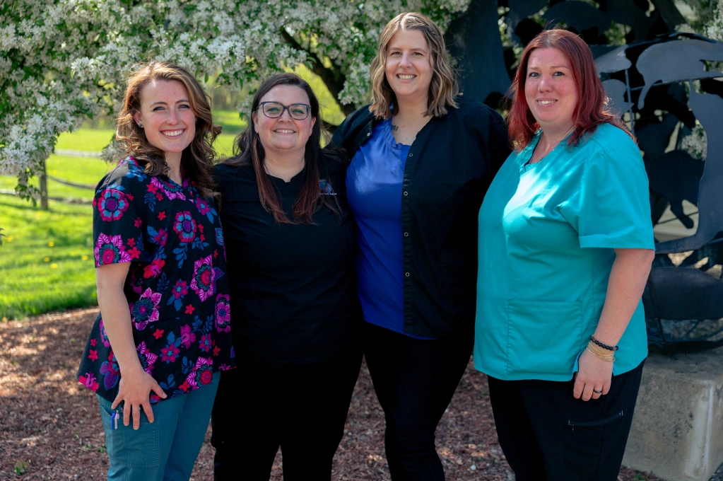 Our Dedicated Team
