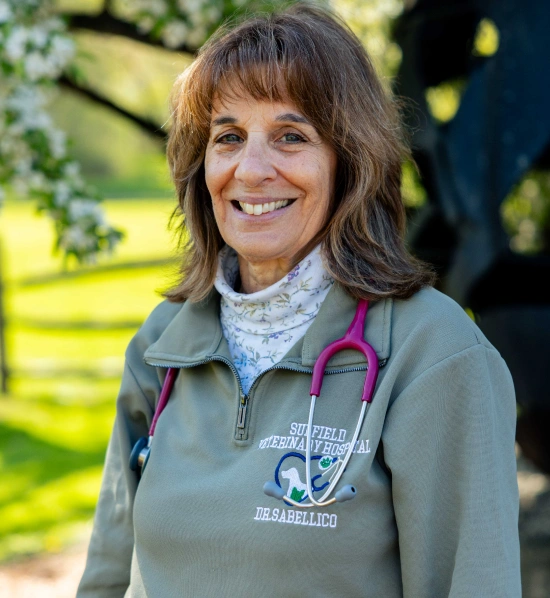 Dr. Anita Sabellico