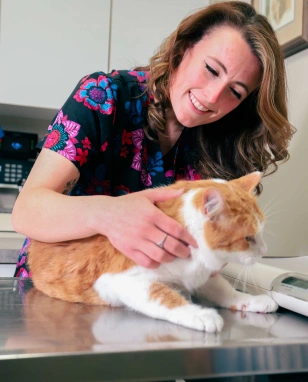 Senior Pet Care
