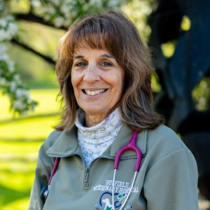 Dr. Anita Sabellico