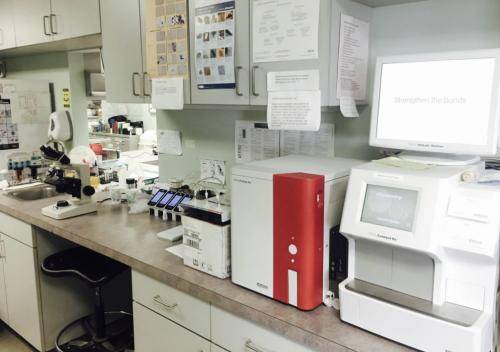 We have some of the most state-of-the-art laboratory equipment allowing us to run many different types of tests.  This ensures that we are quickly able to diagnose the health of our patients.